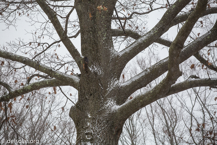 Canon EOS 5D Mark III  --  149 mm  --  EF70-200mm f/4L USM  