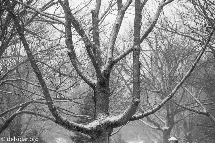 Canon EOS 5D Mark III  --  135 mm  --  EF70-200mm f/4L USM  