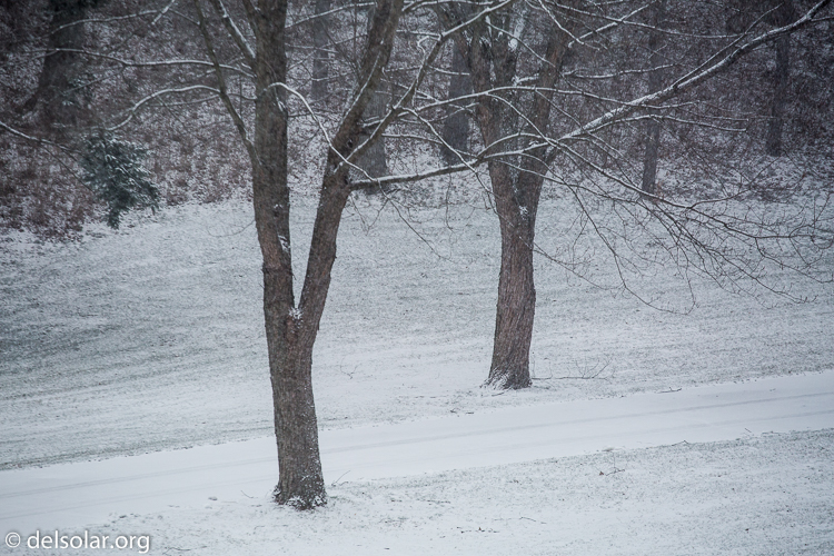 Canon EOS 5D Mark III  --  188 mm  --  EF70-200mm f/4L USM  