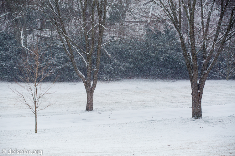 Canon EOS 5D Mark III  --  100 mm  --  EF70-200mm f/4L USM  