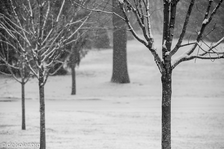 Canon EOS 5D Mark III  --  131 mm  --  EF70-200mm f/4L USM  