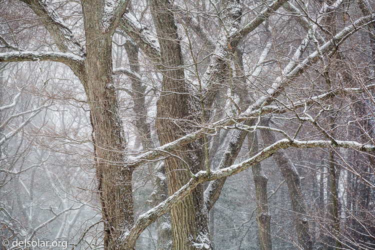 Canon EOS 5D Mark III  --  140 mm  --  EF70-200mm f/4L USM  