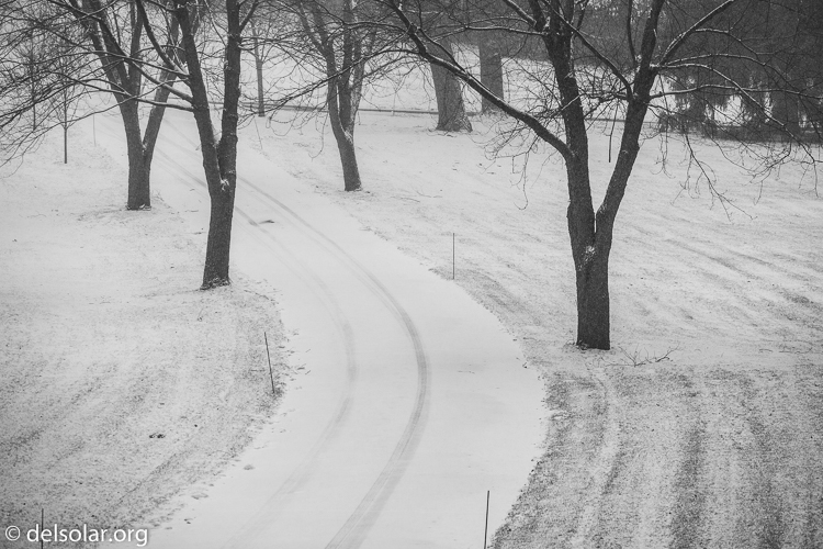 Canon EOS 5D Mark III  --  149 mm  --  EF70-200mm f/4L USM  