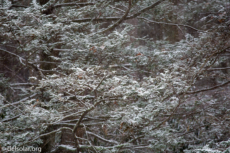 Canon EOS 5D Mark III  --  200 mm  --  EF70-200mm f/4L USM  