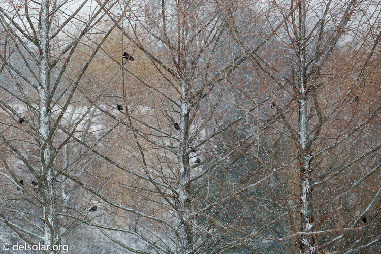 Canon EOS 5D Mark III  --  126 mm  --  EF70-200mm f/4L USM  