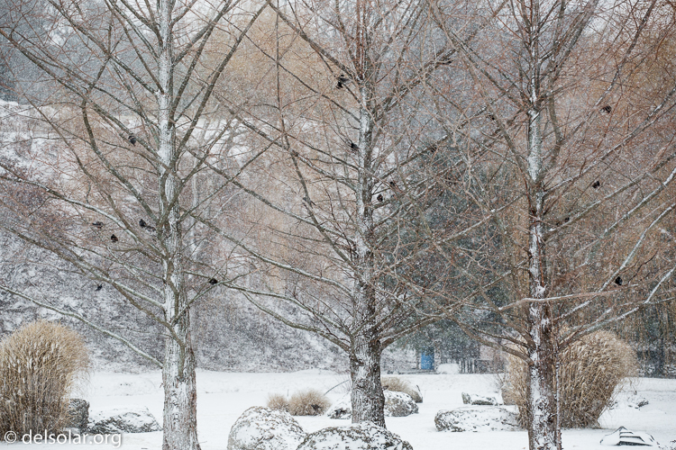 Canon EOS 5D Mark III  --  118 mm  --  EF70-200mm f/4L USM  