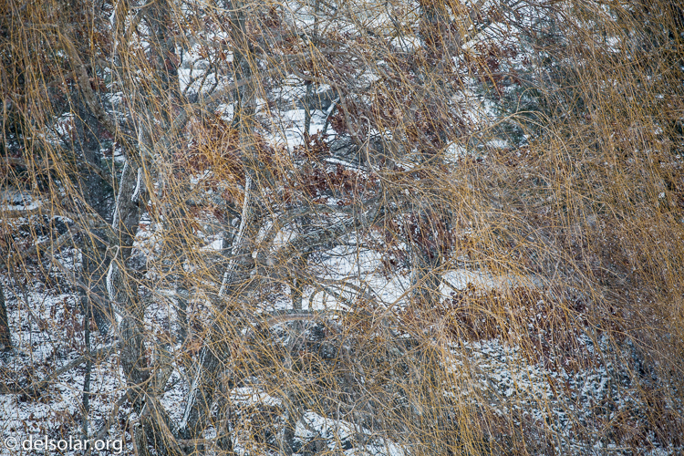 Canon EOS 5D Mark III  --  188 mm  --  EF70-200mm f/4L USM  