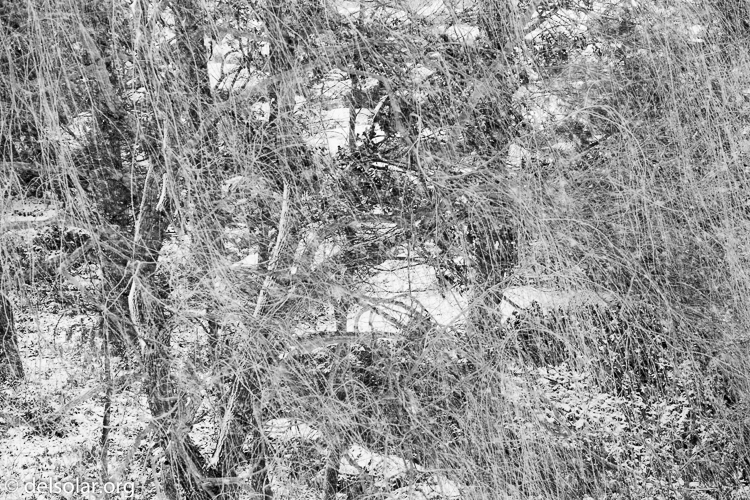 Canon EOS 5D Mark III  --  200 mm  --  EF70-200mm f/4L USM  