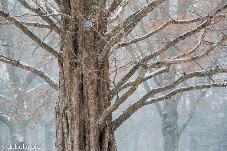 Canon EOS 5D Mark III  --  188 mm  --  EF70-200mm f/4L USM  