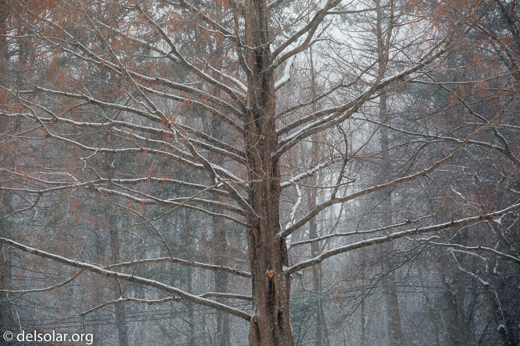 Canon EOS 5D Mark III  --  163 mm  --  EF70-200mm f/4L USM  