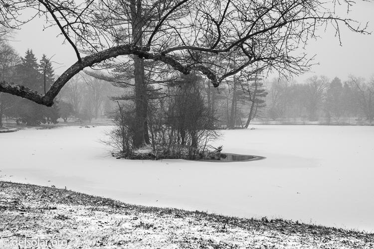 Canon EOS 5D Mark II  --  35 mm  --  35mm  