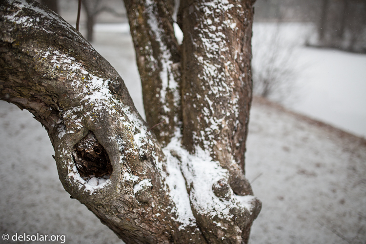 Canon EOS 5D Mark II  --  35 mm  --  35mm  