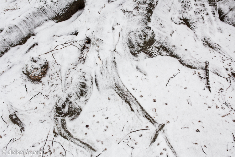 Canon EOS 5D Mark II  --  35 mm  --  35mm  