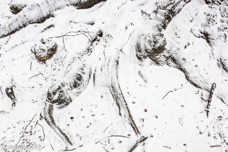 Canon EOS 5D Mark II  --  35 mm  --  35mm  