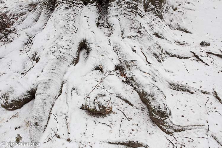 Canon EOS 5D Mark II  --  35 mm  --  35mm  