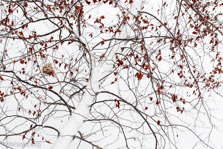 Canon EOS 5D Mark II  --  35 mm  --  35mm  