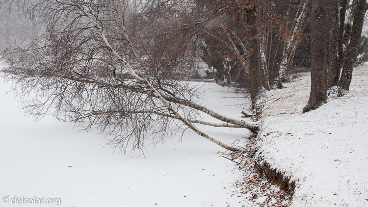 Canon EOS 5D Mark II  --  35 mm  --  35mm  