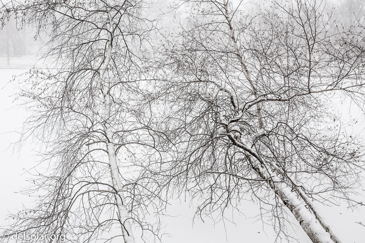 Canon EOS 5D Mark II  --  35 mm  --  35mm  