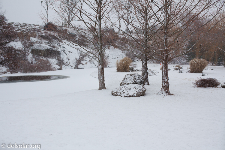 Canon EOS 5D Mark II  --  35 mm  --  35mm  