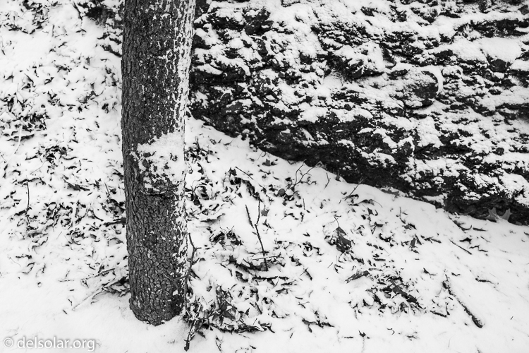 Canon EOS 5D Mark II  --  35 mm  --  35mm  