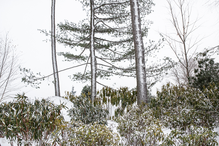 Canon EOS 5D Mark II  --  35 mm  --  35mm  