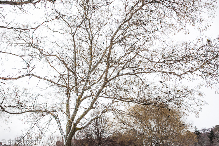 Canon EOS 5D Mark II  --  35 mm  --  35mm  