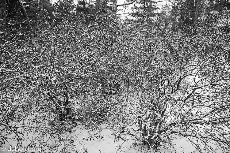 Canon EOS 5D Mark II  --  24 mm  --  EF24-105mm f/4L IS USM  