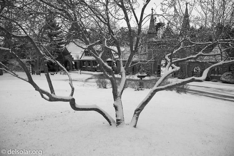 Canon EOS 5D Mark II  --  28 mm  --  EF24-105mm f/4L IS USM  