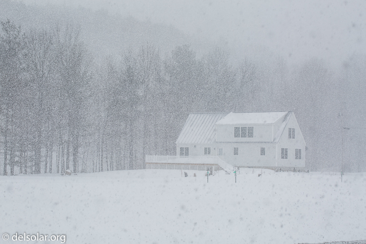 Canon EOS 5D Mark III  --  81 mm  --  EF70-200mm f/4L USM  