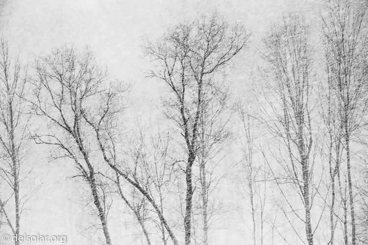 Canon EOS 5D Mark III  --  168 mm  --  EF70-200mm f/4L USM  