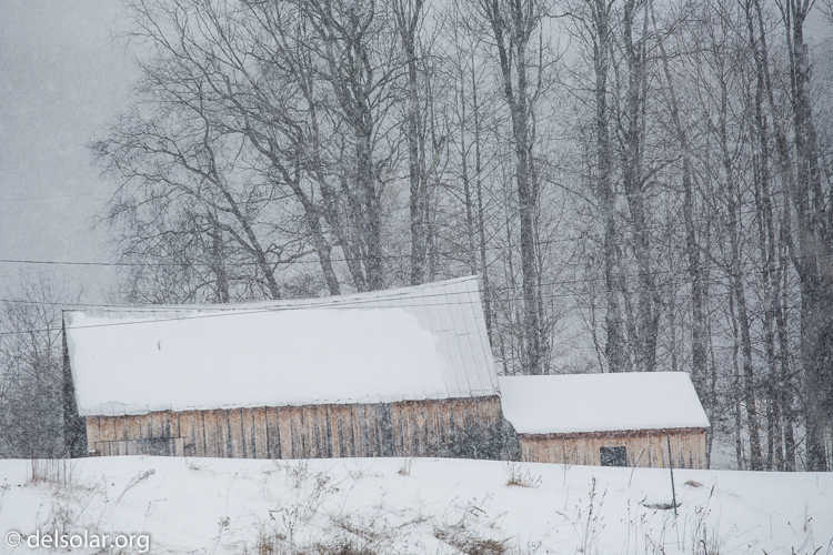 Canon EOS 5D Mark III  --  200 mm  --  EF70-200mm f/4L USM  