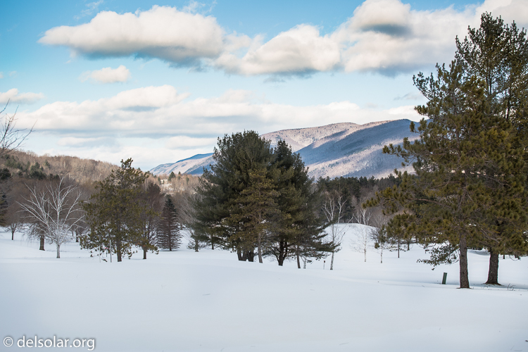 Canon EOS 5D Mark III  --  70 mm  --  EF70-200mm f/4L USM  