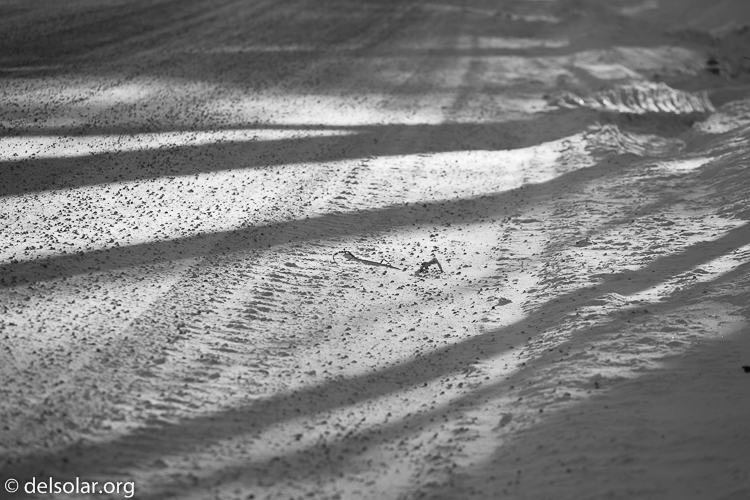 Canon EOS 5D Mark III  --  163 mm  --  EF70-200mm f/4L USM  