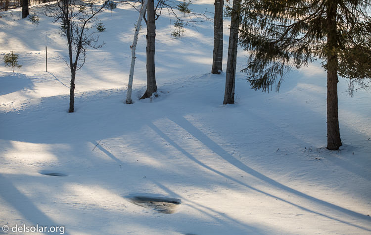 Canon EOS 5D Mark III  --  100 mm  --  EF70-200mm f/4L USM  