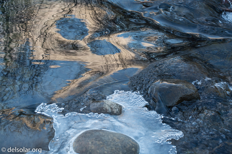 Canon EOS 5D Mark III  --  98 mm  --  EF70-200mm f/4L USM  