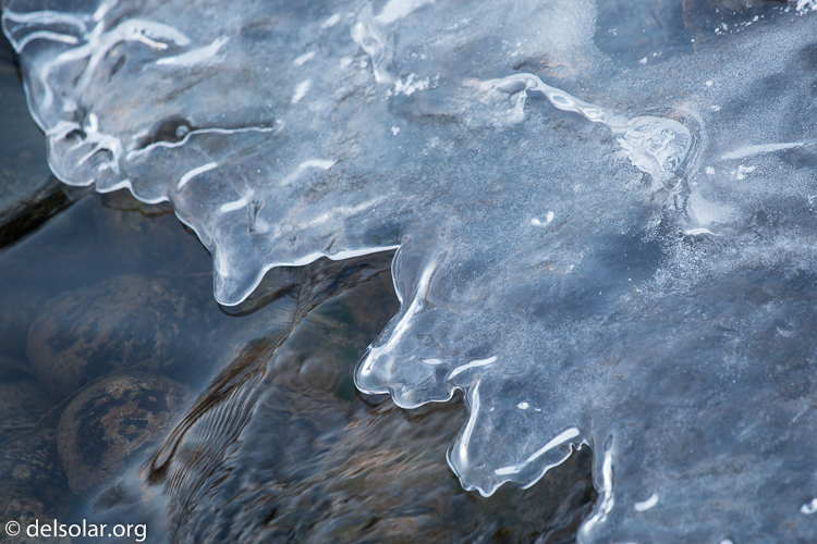 Canon EOS 5D Mark III  --  200 mm  --  EF70-200mm f/4L USM  