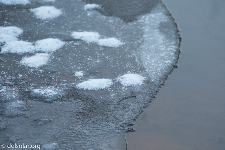 Canon EOS 5D Mark III  --  188 mm  --  EF70-200mm f/4L USM  