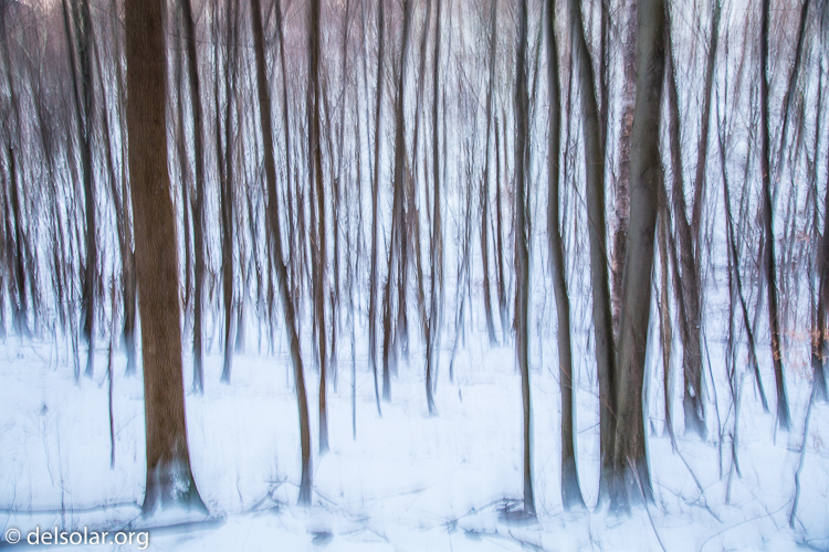 Canon EOS 5D Mark III  --  32 mm  --  EF24-105mm f/4L IS USM  