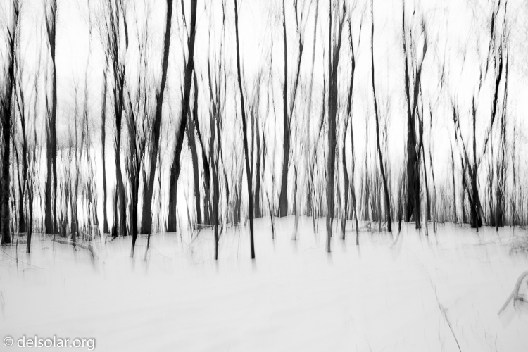 Canon EOS 5D Mark III  --  28 mm  --  EF24-105mm f/4L IS USM  