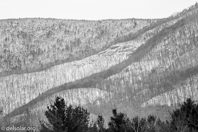 Canon EOS 5D Mark III  --  400 mm  --  EF400mm f/5.6L USM  