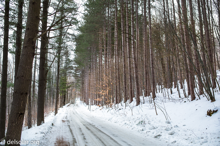 Canon EOS 5D Mark III  --  35 mm  --  35mm  