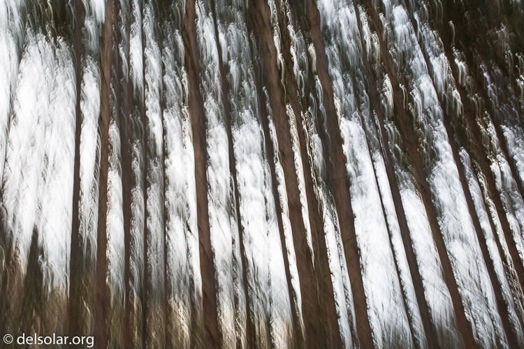 Canon EOS 5D Mark III  --  35 mm  --  35mm  