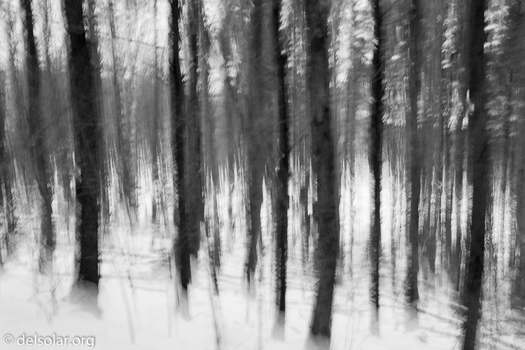 Canon EOS 5D Mark III  --  35 mm  --  35mm  