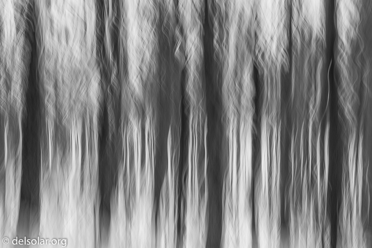 Canon EOS 5D Mark III  --  35 mm  --  35mm  