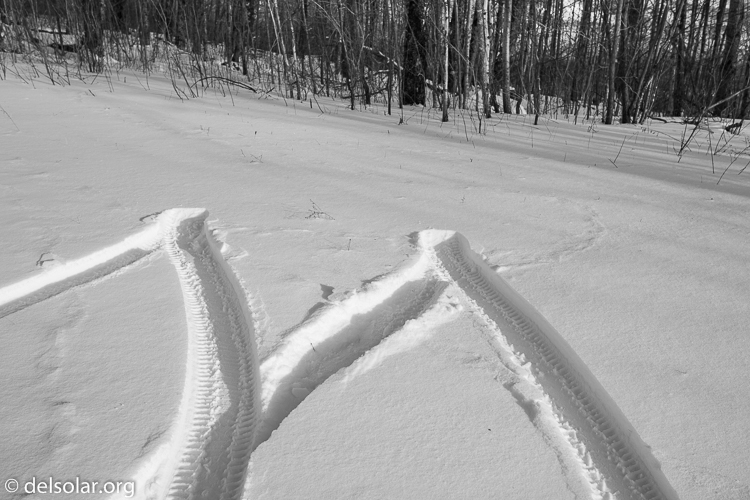 Canon EOS 5D Mark II  --  35 mm  --  35mm  