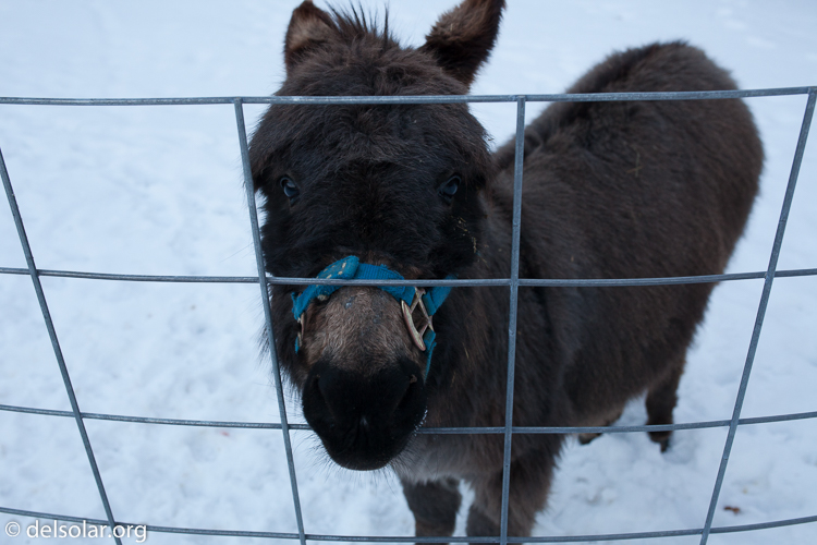 Canon EOS 5D Mark II  --  35 mm  --  35mm  