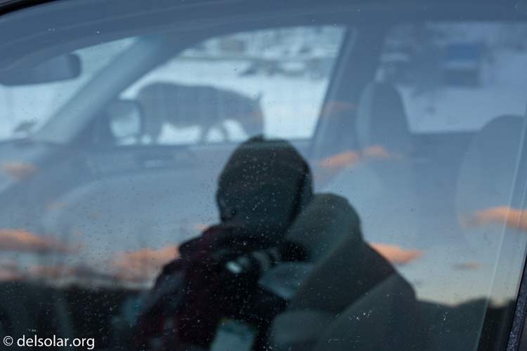 Canon EOS 5D Mark II  --  35 mm  --  35mm  