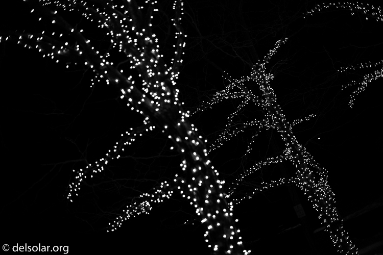 Canon EOS 5D Mark II  --  35 mm  --  35mm  