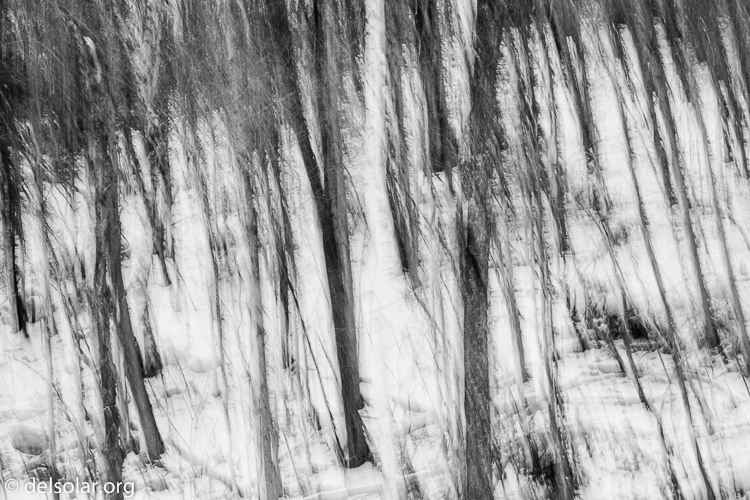 Canon EOS 5D Mark II  --  70 mm  --  EF70-200mm f/4L USM  