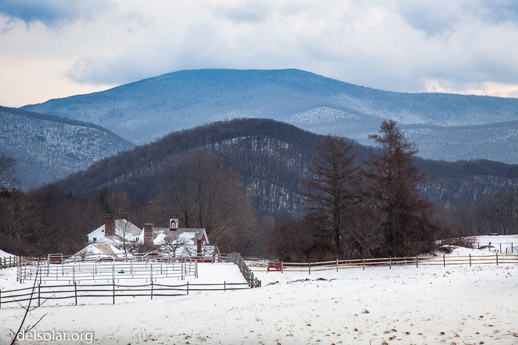 Canon EOS 5D Mark II  --  105 mm  --  EF24-105mm f/4L IS USM  